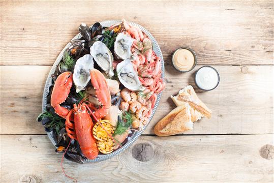 DET OVERDÅDIGE SKALDYRSFAD