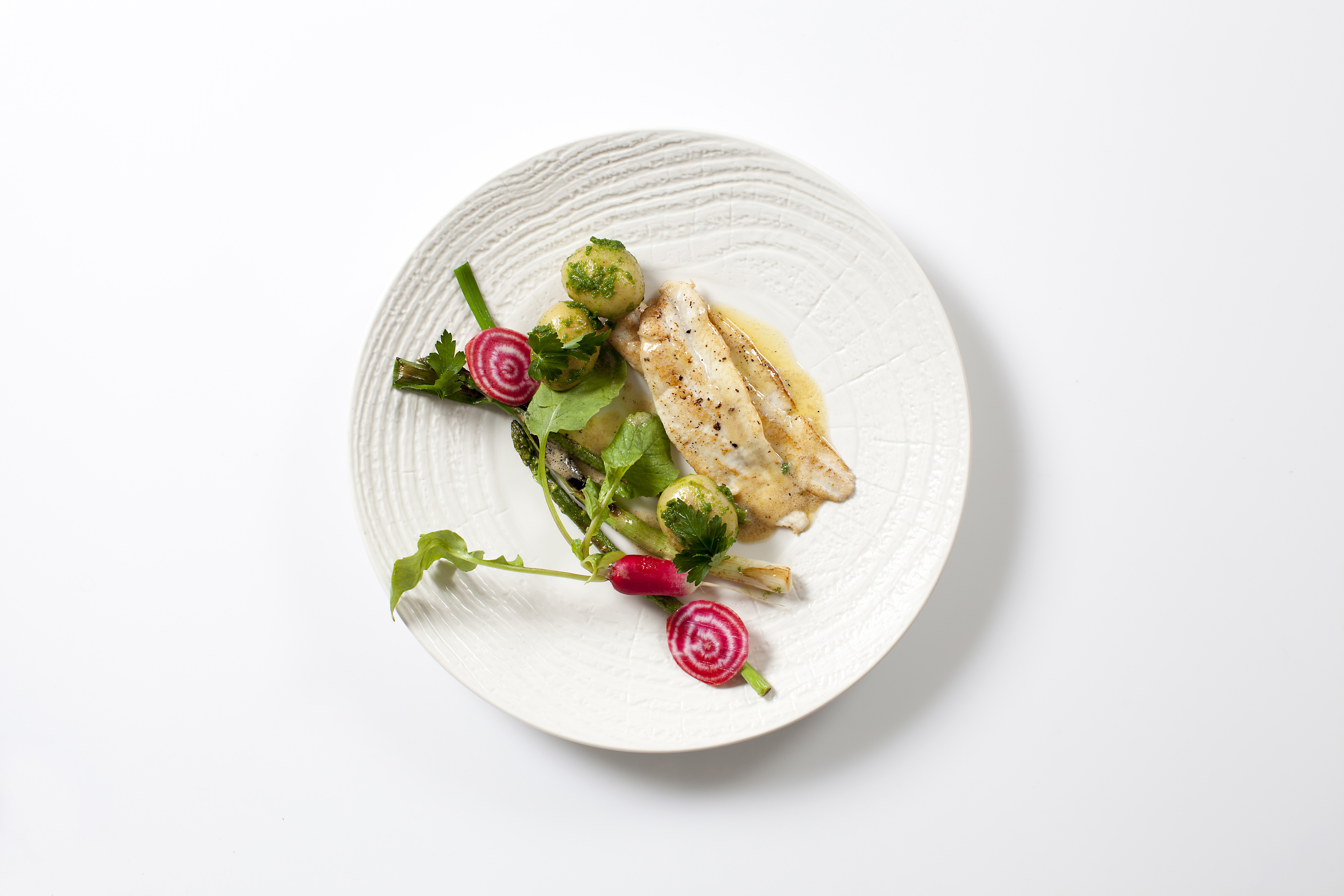 STEGT RØDSPÆTTEFILET | detfisk.dk
