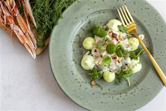 CEVICHE AF JOMFRUHUMMER