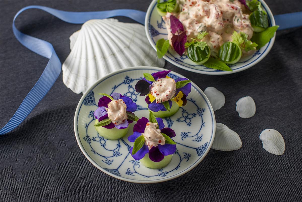 SKALDYRSSALAT I AGURK