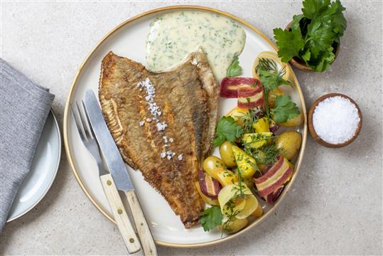 HELSTEGT RØDSPÆTTE