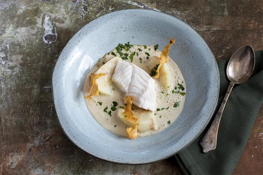 MASKINTORSK FRA BOGENSE